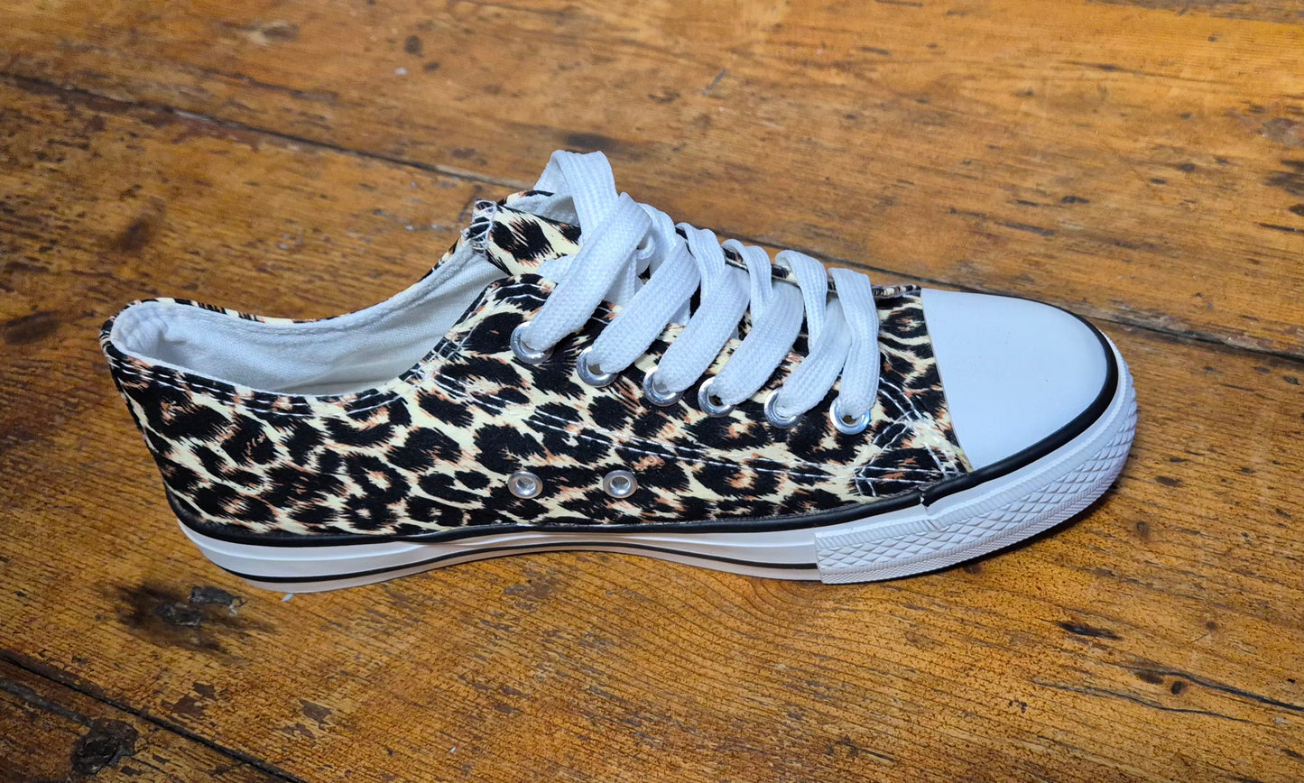 Leopard Trainer